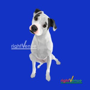 pet illustration